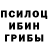 Галлюциногенные грибы прущие грибы Xnothen