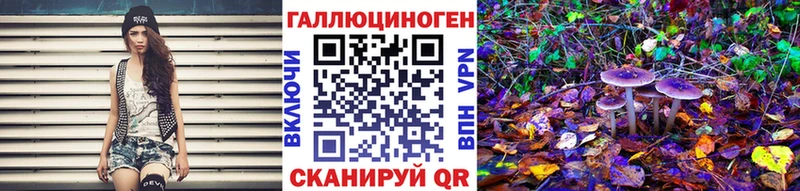Галлюциногенные грибы мицелий  Артём 